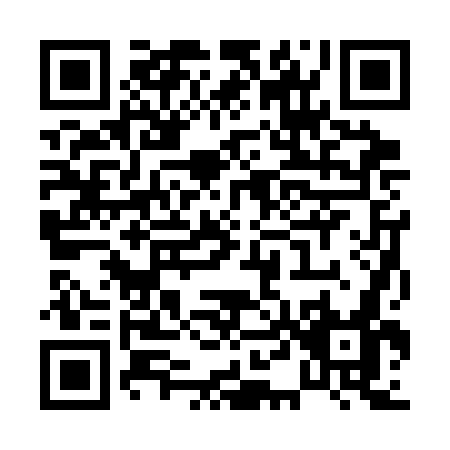 QR code for P423G