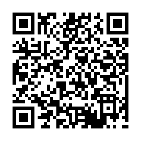 QR code for P423Z