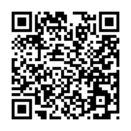 QR code for P424I