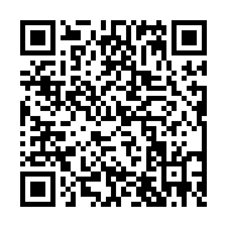 QR code for P431E