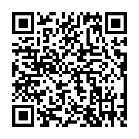 QR code for P431W