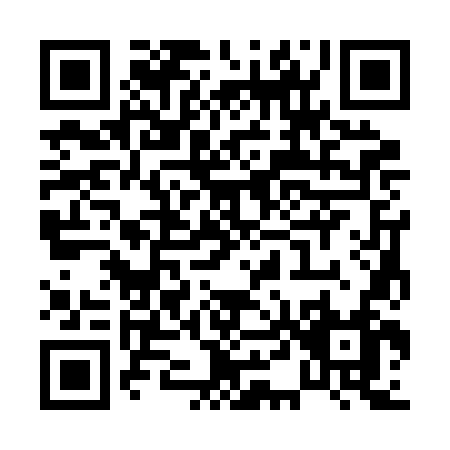 QR code for P432N