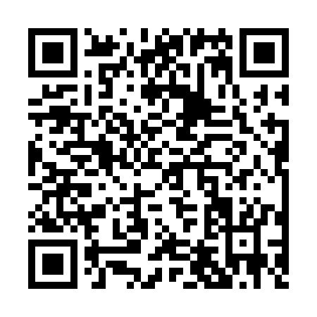 QR code for P433K