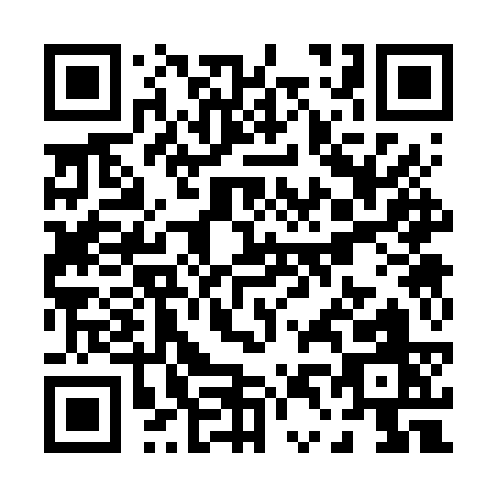 QR code for P436S