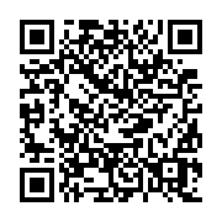 QR code for P437IV