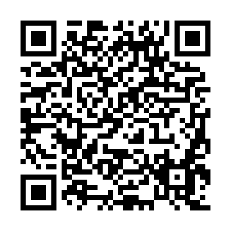 QR code for P438E