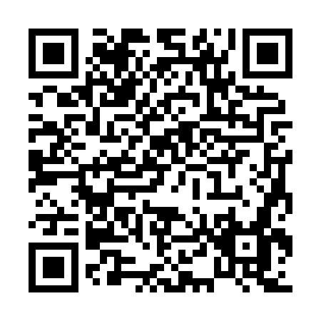 QR code for P438W