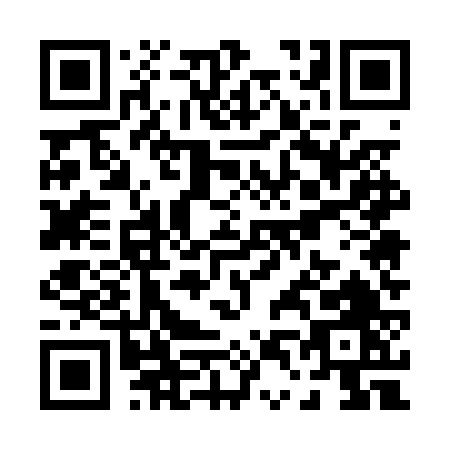 QR code for P450V