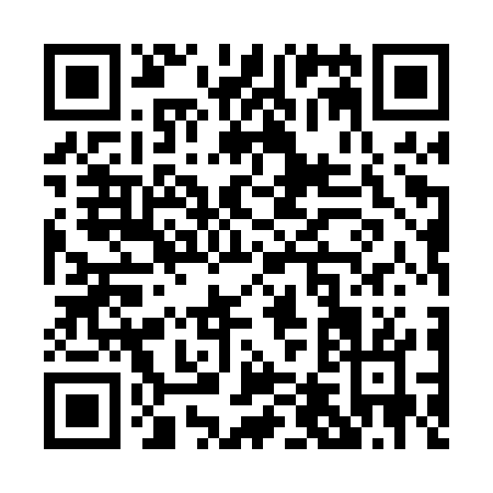 QR code for P450W