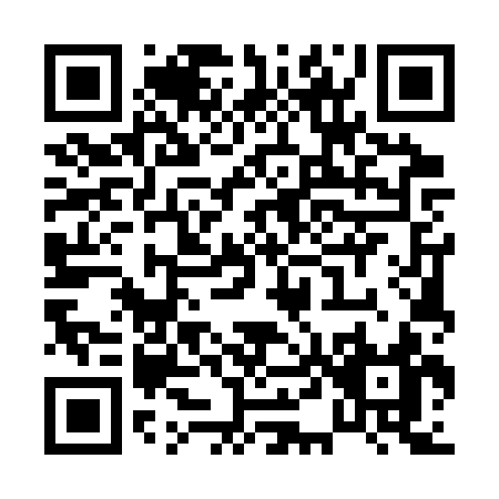 QR code for P453S
