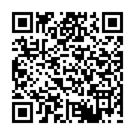 QR code for P456C