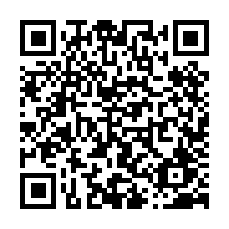 QR code for P46 0JV