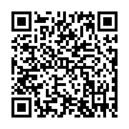 QR code for P461C