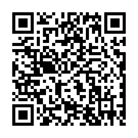 QR code for P461V