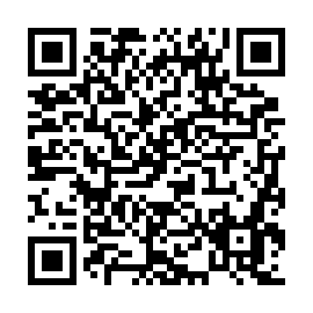 QR code for P462G