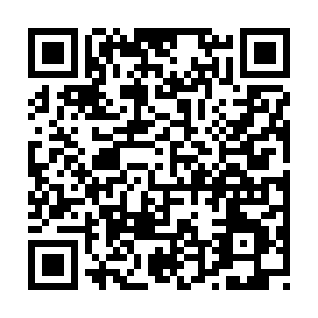 QR code for P462X