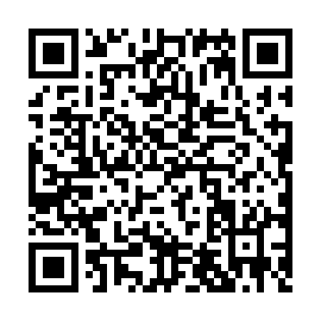 QR code for P463A