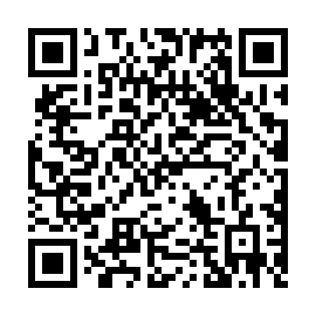 QR code for P463XG
