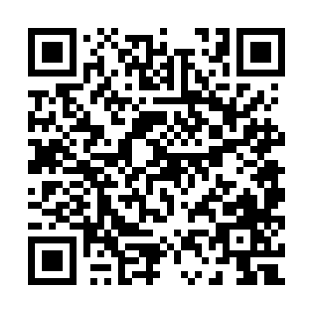 QR code for P466H