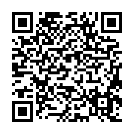 QR code for P478N