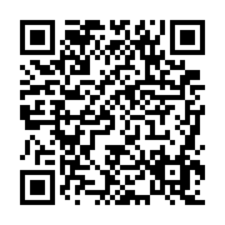 QR code for P487N