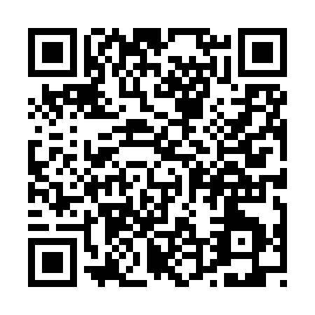 QR code for P489S
