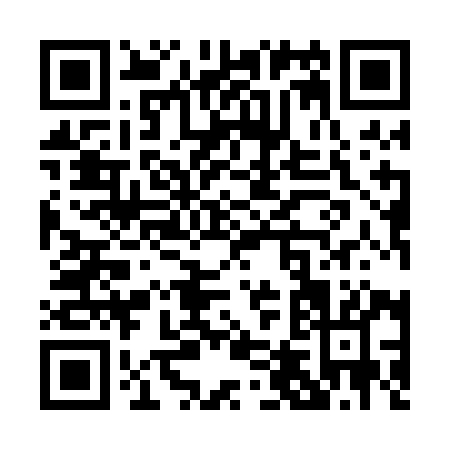 QR code for P490I