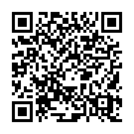 QR code for P490NX