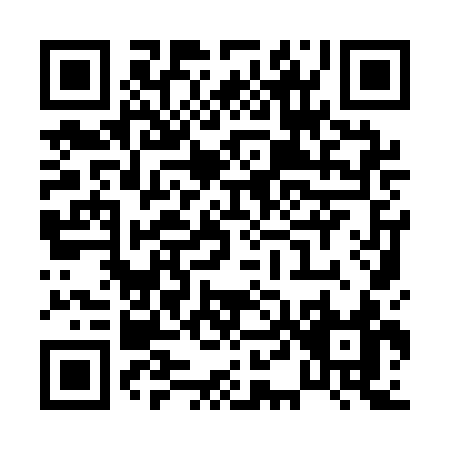 QR code for P491C