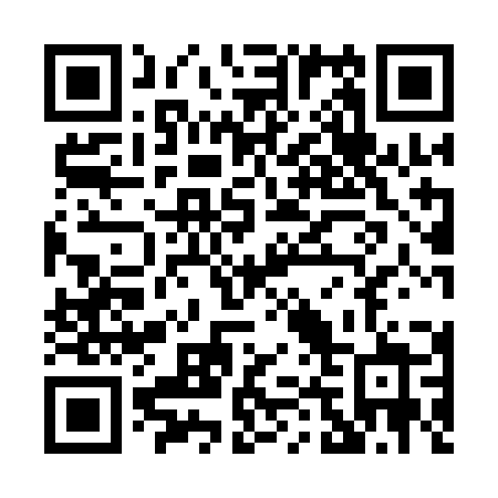 QR code for P491JZ