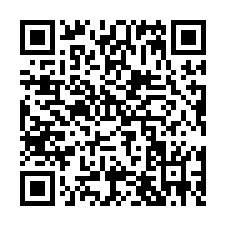 QR code for P491O