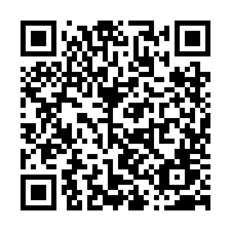 QR code for P493OV