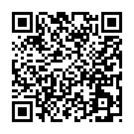 QR code for P495S