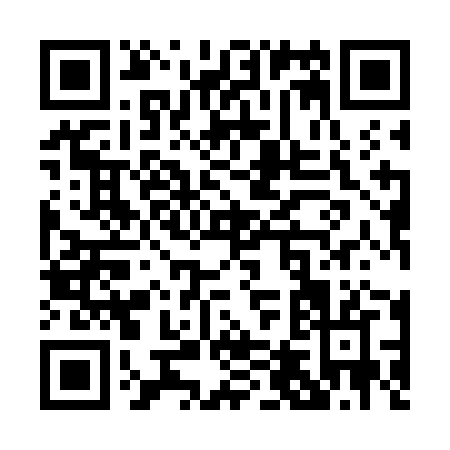 QR code for P497J