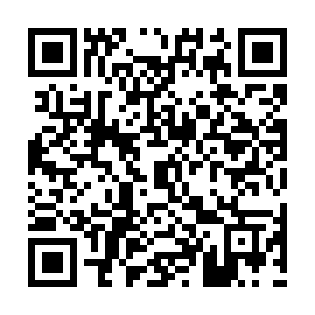 QR code for P497MW