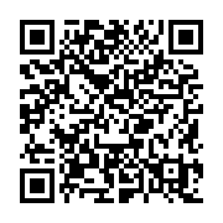 QR code for P498HI