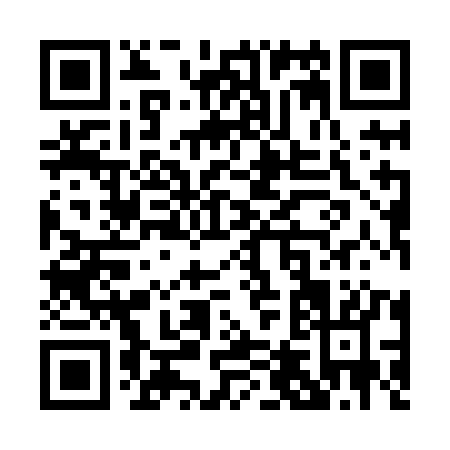 QR code for P498K