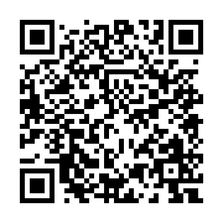 QR code for P500Q