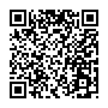 QR code for P500V