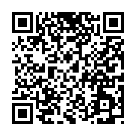 QR code for P501A