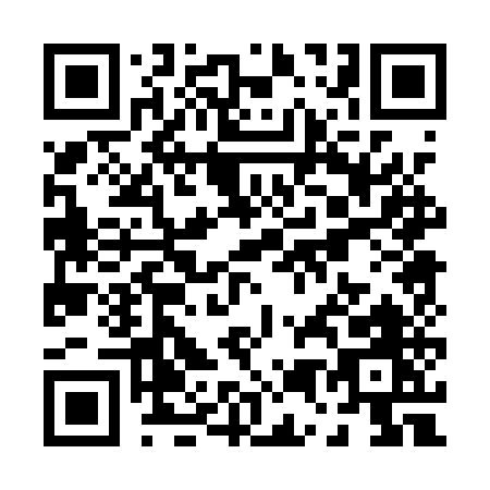 QR code for P501U