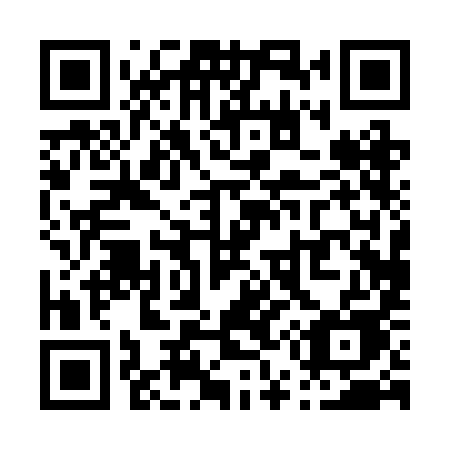 QR code for P502IE