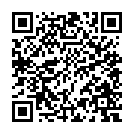 QR code for P506J