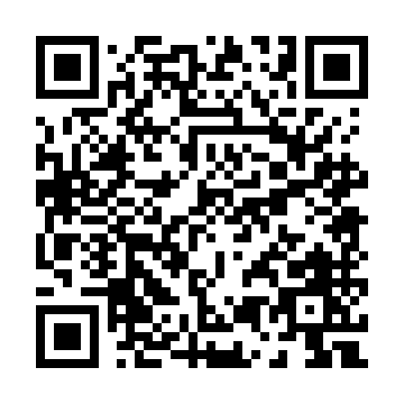 QR code for P507M