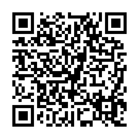 QR code for P509T