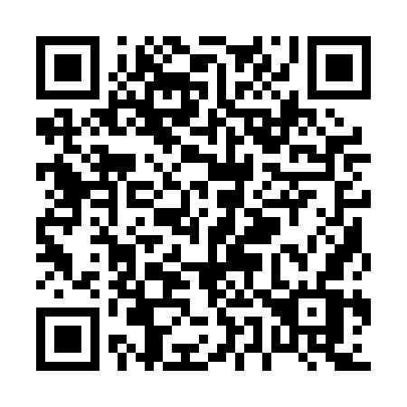 QR code for plate P51 0GV