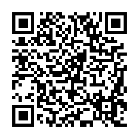QR code for P510L