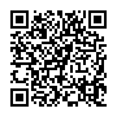 QR code for P511Q