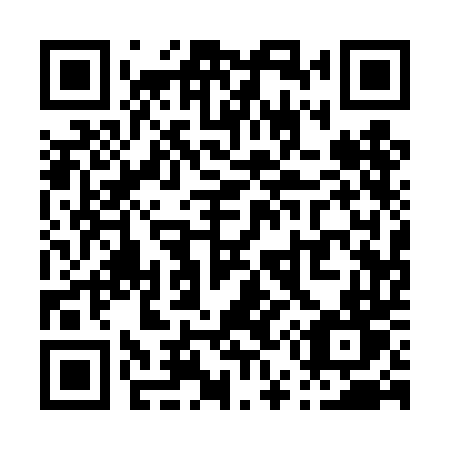 QR code for plate P51 4DT