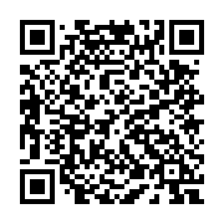 QR code for plate P51 4PI